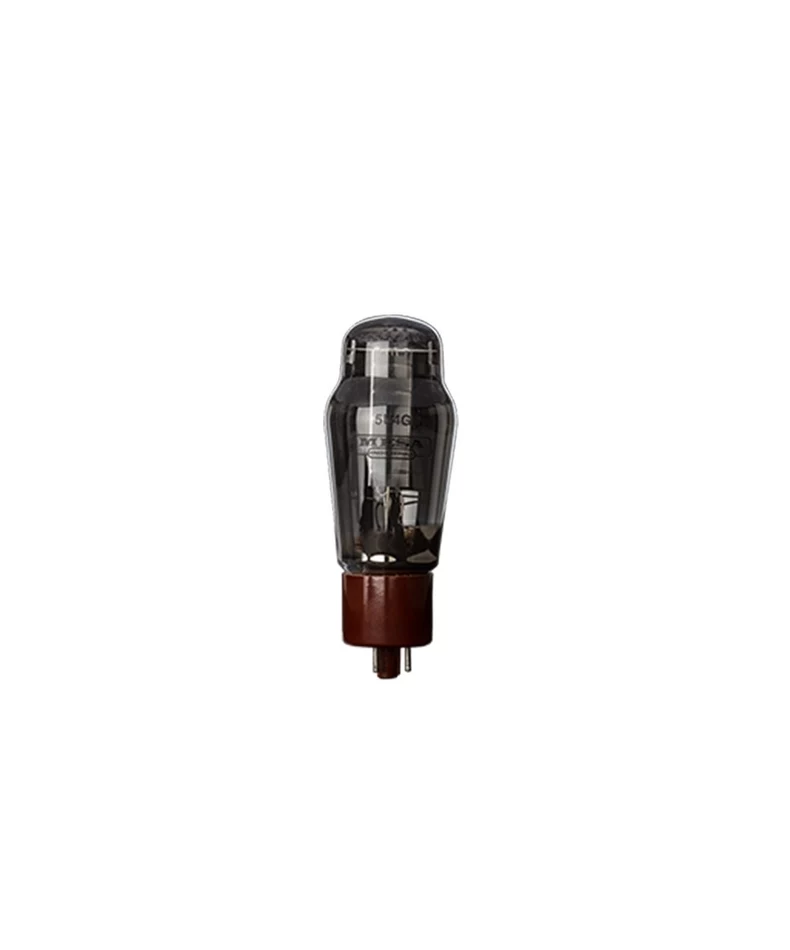 Mesa boogie TUBE 5U4G RECTO