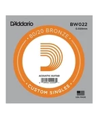 D`Addario BWO22