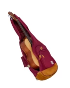 Ibanez ICB541 WR Bag For Class Guitar