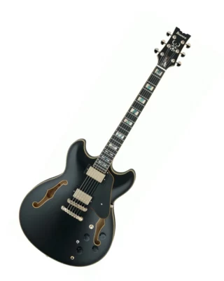 Електрически китари Ibanez JSM20 BKL w/Case