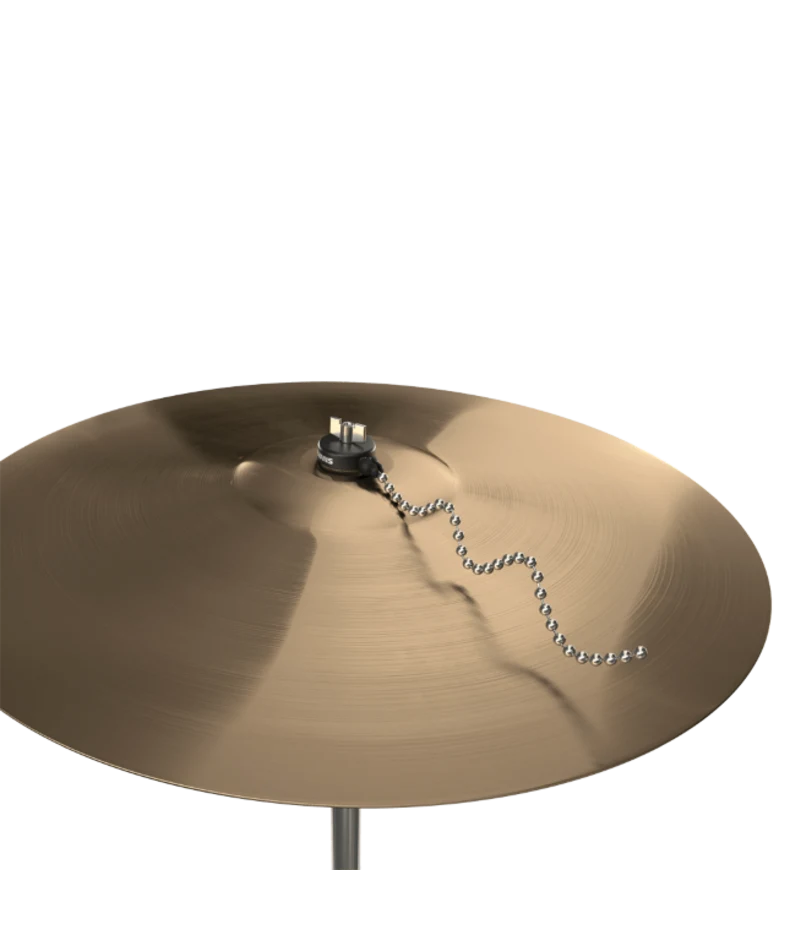 EVANS EVCYMSZ1 Cymbal Sizzler