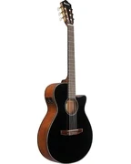 Ibanez AEG50N BKH