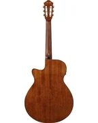 Ibanez AEG50N BKH