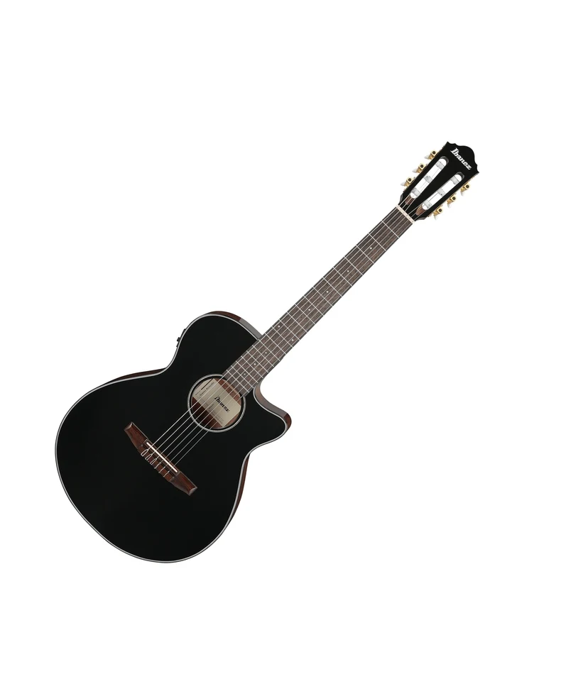 Ibanez AEG50N BKH